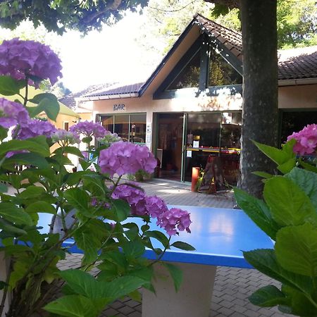 Camping Les Sources 圣让杜加尔 外观 照片