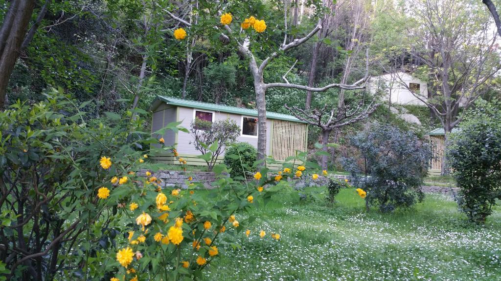 Camping Les Sources 圣让杜加尔 外观 照片